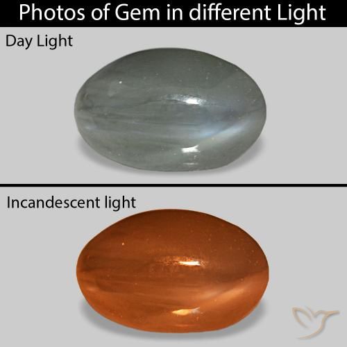 9,17 ctw natürlicher Mittelgrau Cat's Eye Alexandrite, Oval, Lichtundurchlässig