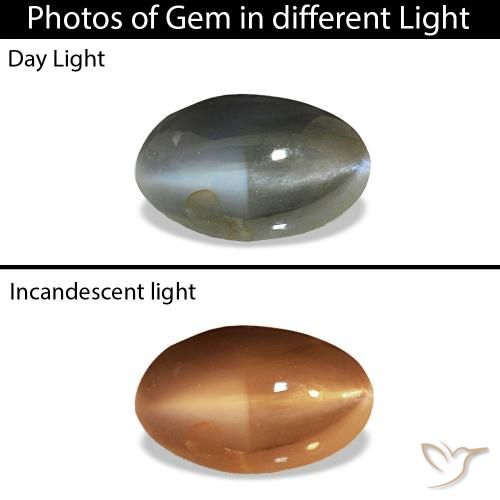 9,17 ctw natürlicher Blassgrünes Grau Cat's Eye Alexandrite, Oval, Lichtundurchlässig