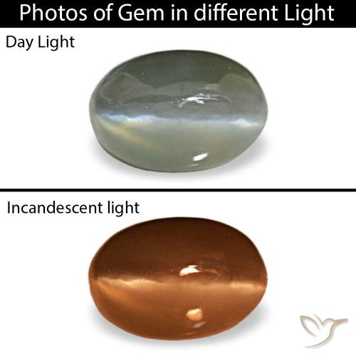 0,50 ctw natürlicher grauer Cat's Eye Alexandrite, Oval Schliff, Lichtundurchlässig