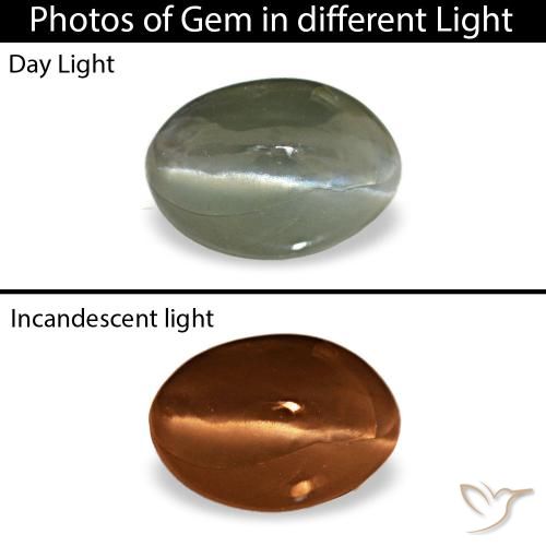 0,49 ctw natürlicher grauer Cat's Eye Alexandrite, Oval Schliff, Lichtundurchlässig