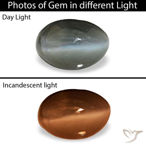 0,56 ctw natürlicher grauer Cat's Eye Alexandrite, Oval Schliff, Lichtundurchlässig