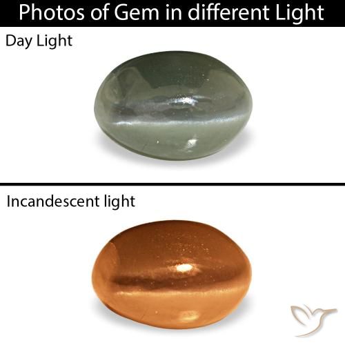 0,53 ctw natürlicher grüner Cat's Eye Alexandrite, Oval Schliff, Lichtundurchlässig