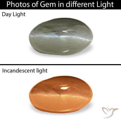 0,50 ctw natürlicher grüner Cat's Eye Alexandrite, Oval Schliff, Lichtundurchlässig
