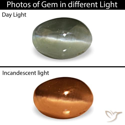 0,49 ctw natürlicher grüner Cat's Eye Alexandrite, Oval Schliff, Lichtundurchlässig