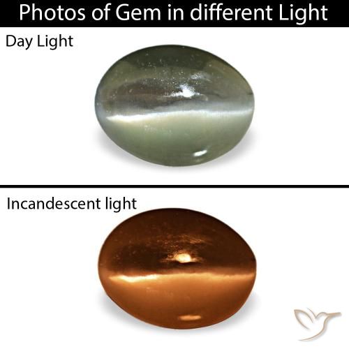 0,42 ctw natürlicher grauer Cat's Eye Alexandrite, Oval Schliff, Lichtundurchlässig