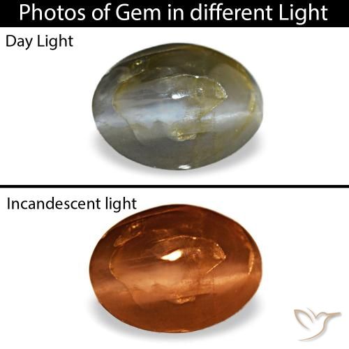 0,48 ctw natürlicher grauer Cat's Eye Alexandrite, Oval Schliff, Lichtundurchlässig