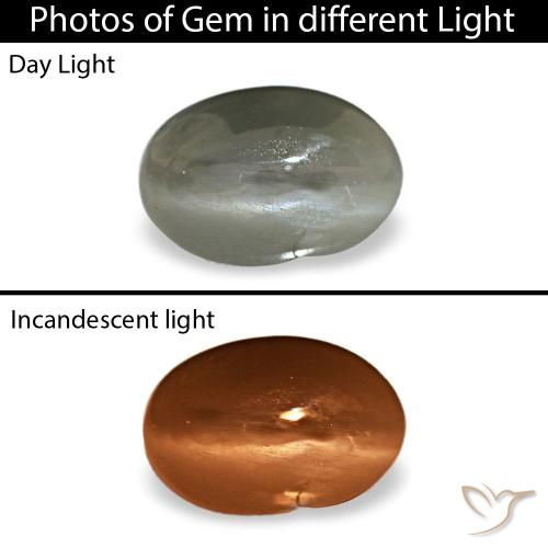 0,35 ctw natürlicher grauer Cat's Eye Alexandrite, Oval Schliff, Lichtundurchlässig