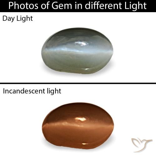 0,40 ctw natürlicher grauer Cat's Eye Alexandrite, Oval Schliff, Lichtundurchlässig