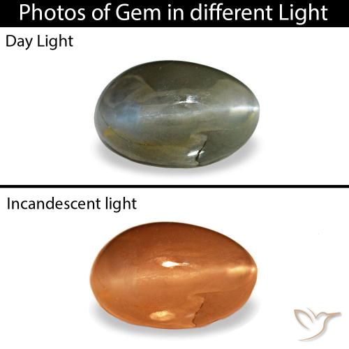 0,46 ctw natürlicher grauer Cat's Eye Alexandrite, Oval Schliff, Lichtundurchlässig