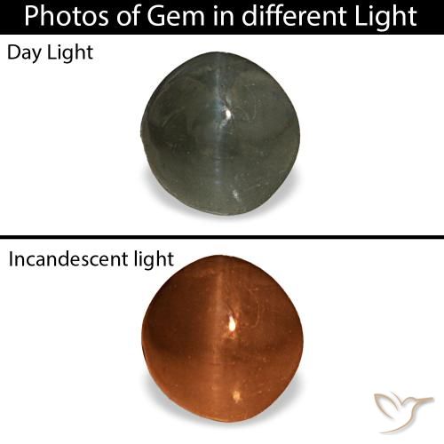 0.66ct Grauer Cat's Eye Alexandrite, Rund, Lichtundurchlässig