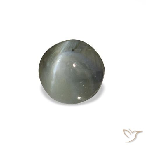 0,85 ctw natürlicher grauer Cat's Eye Alexandrite, Rundschliff, Lichtundurchlässig