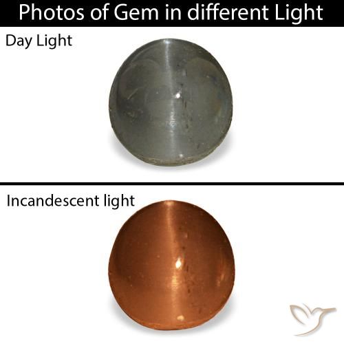 0.80ct Grauer Cat's Eye Alexandrite, Oval, Lichtundurchlässig