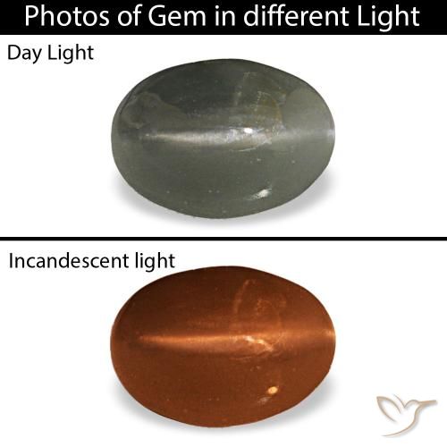 0.47ct Grauer Cat's Eye Alexandrite, Oval, Lichtundurchlässig