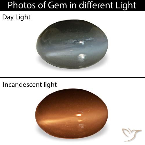 0,50 ctw natürlicher grauer Cat's Eye Alexandrite, Oval Schliff, Lichtundurchlässig