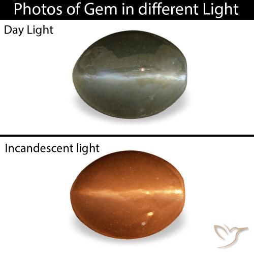 0,45 ctw natürlicher grauer Cat's Eye Alexandrite, Oval Schliff, Lichtundurchlässig