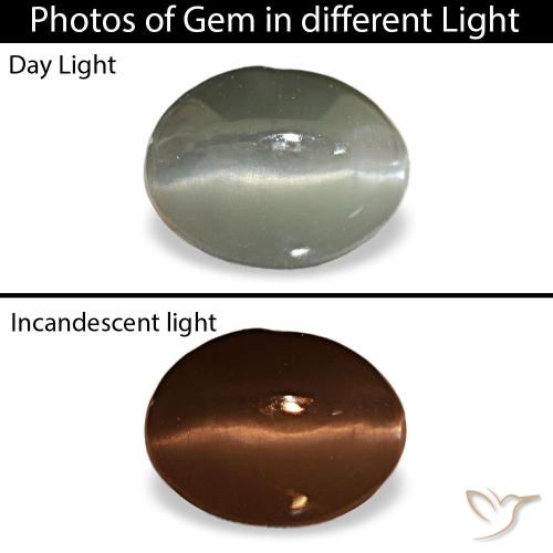 1.03ct Grauer Cat's Eye Alexandrite, Oval, Lichtundurchlässig