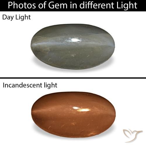 1.01ct Grauer Cat's Eye Alexandrite, Oval, Lichtundurchlässig