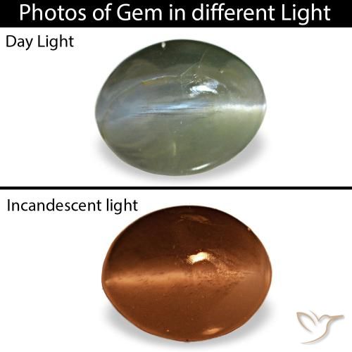 0.64ct Grauer Cat's Eye Alexandrite, Oval, Lichtundurchlässig