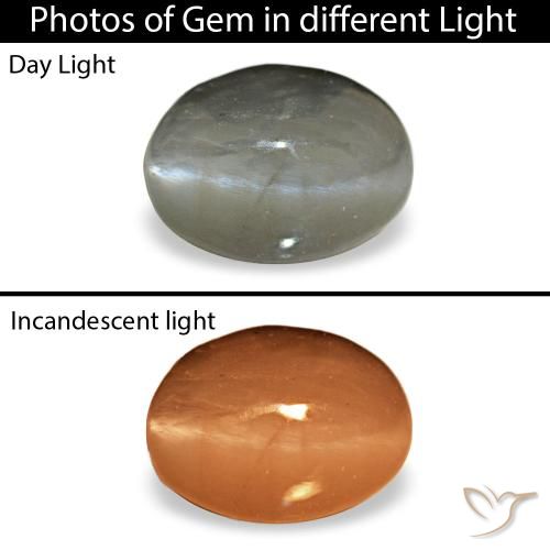 0,72 ctw natürlicher grauer Cat's Eye Alexandrite, Oval Schliff, Lichtundurchlässig