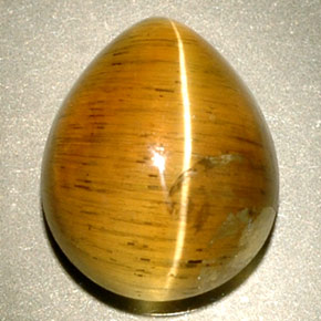 4,94 ctw natürlicher gelber Cat's Eye Apatite, Transparent, Transparent / Lichtdurchlässig