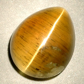 4,94 ctw natürlicher gelber Cat's Eye Apatite, Transparent, Transparent / Lichtdurchlässig