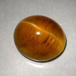 5,05 ctw natürlicher gelber Cat's Eye Apatite, Transparent, Transparent / Lichtdurchlässig
