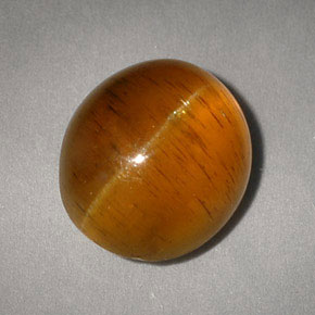 5,05 ctw natürlicher gelber Cat's Eye Apatite, Transparent, Transparent / Lichtdurchlässig