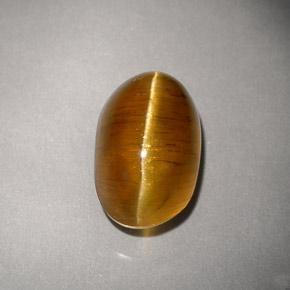4,93 ctw natürlicher gelber Cat's Eye Apatite, Transparent, Transparent / Lichtdurchlässig