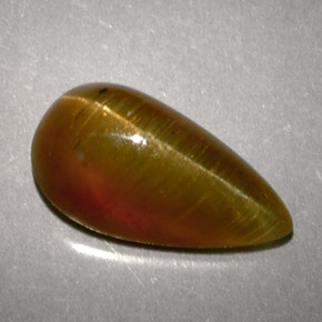 9,17 ctw natürlicher Honig Katzenaugen-Apatit, Birnenform, Lichtdurchlässig