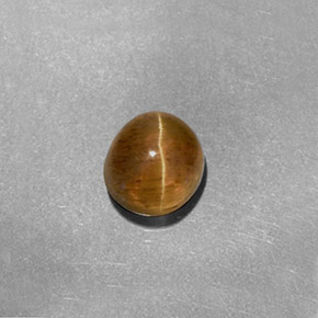1,61 ctw natürlicher gelber Cat's Eye Apatite, Oval Schliff, Lichtdurchlässig