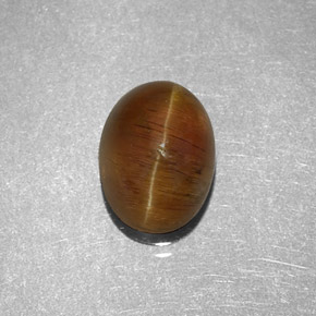 9,17 ctw natürlicher Honig Katzenaugen-Apatit, Oval Schliff, Lichtdurchlässig