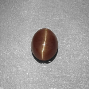 1,47 ctw natürlicher gelber Cat's Eye Apatite, Oval Schliff, Lichtdurchlässig