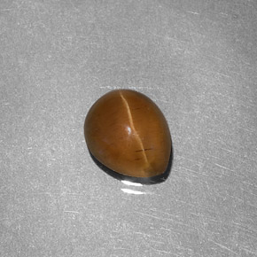 1,46 ctw natürlicher gelber Cat's Eye Apatite, Birnenform, Lichtdurchlässig
