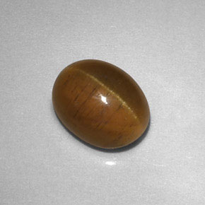 2,85 ctw natürlicher gelber Cat's Eye Apatite, Transparent, Transparent / Lichtdurchlässig