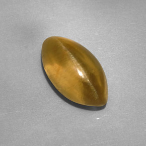 9,17 ctw natürlicher Grünlich golden Apatit-Katzenauge, Transparent, Transparent / Lichtdurchlässig