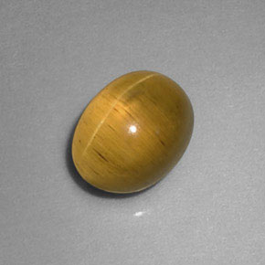 9,17 ctw natürlicher gold-grün Katzenaugen-Apatit, Transparent, Transparent / Lichtdurchlässig