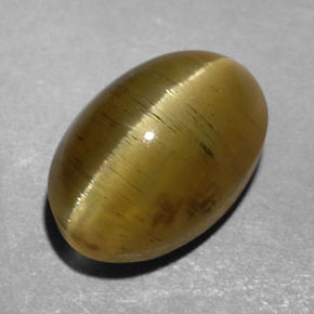 9,17 ctw natürlicher gold-grün Katzenaugen-Apatit, Transparent, Transparent / Lichtdurchlässig