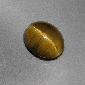 1,87 ctw natürlicher grüner Cat's Eye Apatite, Transparent, Transparent / Lichtdurchlässig