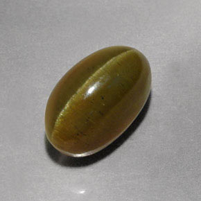 9,17 ctw natürlicher gold-grün Katzenaugen-Apatit, Transparent, Transparent / Lichtdurchlässig