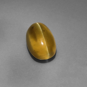 9,17 ctw natürlicher gold-grün Apatit-Katzenauge, Transparent, Transparent / Lichtdurchlässig