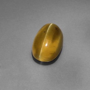 9,17 ctw natürlicher gold-grün Apatit-Katzenauge, Transparent, Transparent / Lichtdurchlässig