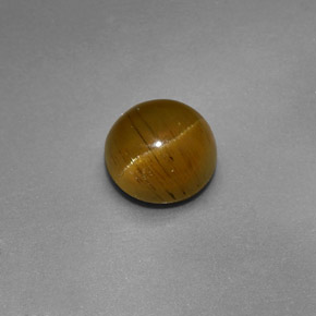 1,47 ctw natürlicher grüner Cat's Eye Apatite, Rundschliff, Lichtdurchlässig