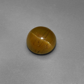 1,47 ctw natürlicher grüner Cat's Eye Apatite, Rundschliff, Lichtdurchlässig