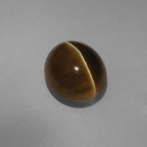 9,17 ctw natürlicher gold-grün Katzenaugen-Apatit, Transparent, Transparent / Lichtdurchlässig