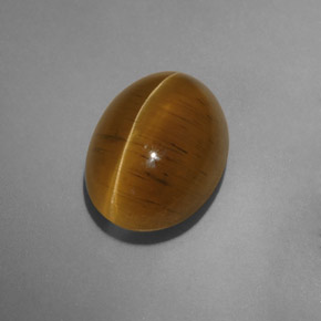 9,54 ctw natürlicher gelber Cat's Eye Apatite, Transparent, Transparent / Lichtdurchlässig
