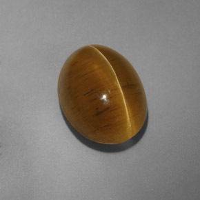 9,54 ctw natürlicher gelber Cat's Eye Apatite, Transparent, Transparent / Lichtdurchlässig