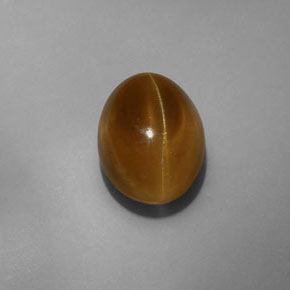 9,17 ctw natürlicher grünlich-gold Katzenaugen-Apatit, Transparent, Transparent / Lichtdurchlässig