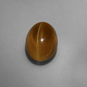 9,17 ctw natürlicher grünlich-gold Katzenaugen-Apatit, Transparent, Transparent / Lichtdurchlässig