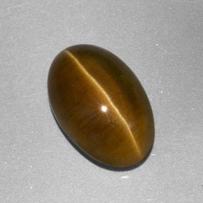3,86 ctw natürlicher gelber Cat's Eye Apatite, Transparent, Transparent / Lichtdurchlässig