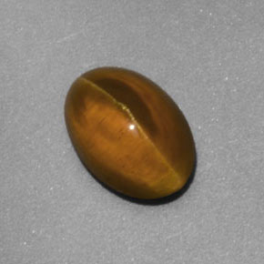 2,02 ctw natürlicher gelber Cat's Eye Apatite, Transparent, Transparent / Lichtdurchlässig